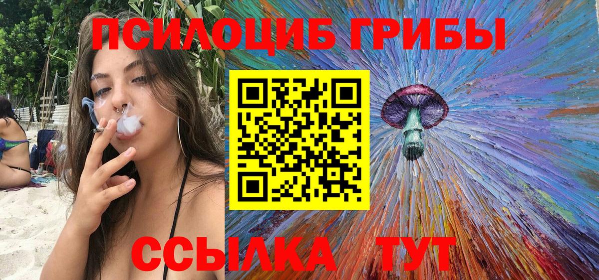 Псилоцибиновые грибы Psilocybine cubensis  продажа наркотиков  Серов  Вход с VPN  Псилоцибиновые грибы мицелий 